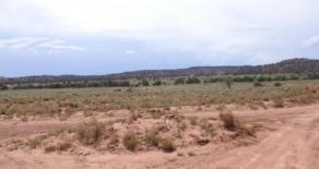 1.18 Acres in Navajo County, Arizona