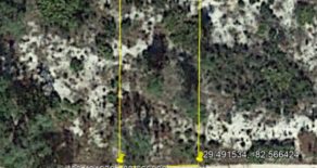 .13 Acres in Levy County, Florida