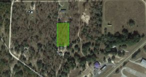 1.25 Acres in Levy County, Florida