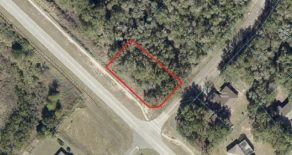 .35 Acres in Marion County, FL